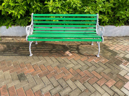 A beautiful siting bench placed in a park with quite and green surroundingsの写真素材