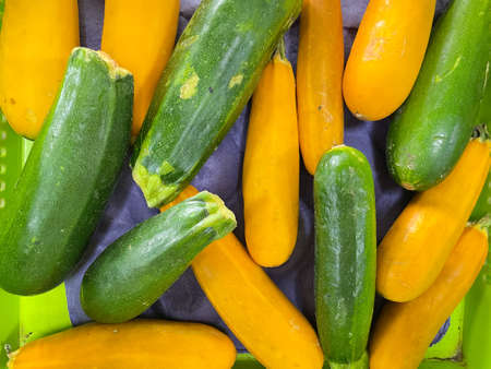 Top view of fresh organic  cucumbers kept alongside in a shelf of a supermarketの写真素材