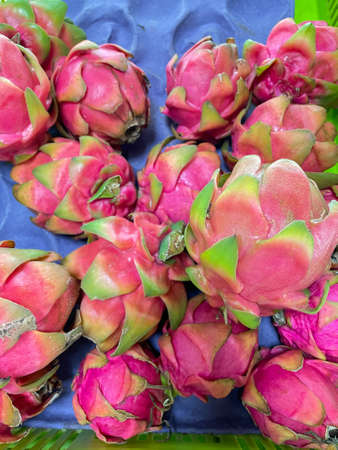 Selective focus Close up top view of fresh organic dragon fruits kept togetherの写真素材