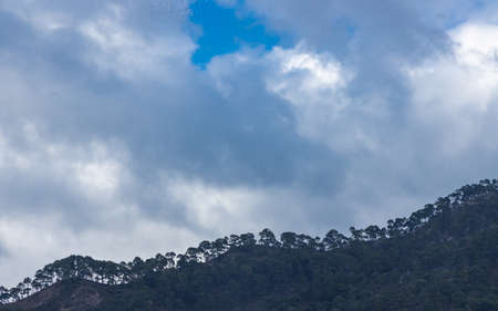Row of trees on top of a hill with clouds forming in the backgroundの写真素材