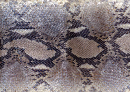 Full Hd Animal Skin Leathers and Furs Images