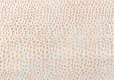 Full Hd Animal Skin Leathers and Furs Images