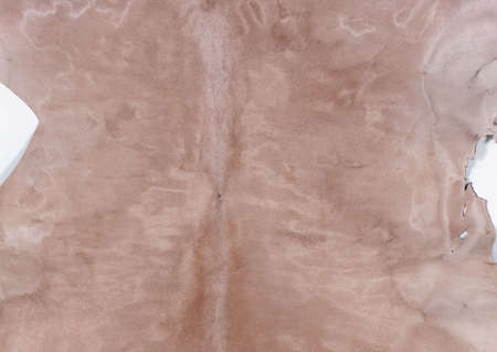 Full Hd Animal Skin Leathers and Furs Images