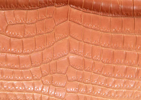 Full Hd Animal Skin Leathers and Furs Images