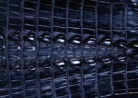 Full Hd Animal Skin Leathers and Furs Images