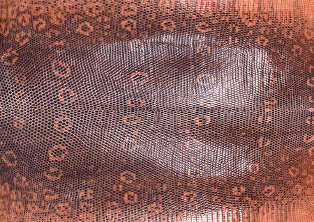 Full Hd Animal Skin Leathers and Furs Imagesの写真素材