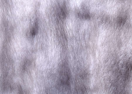 Full Hd Animal Skin Leathers and Furs Images