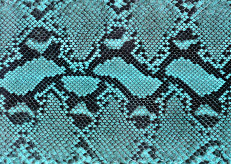 Full Hd Animal Skin Leathers and Furs Images