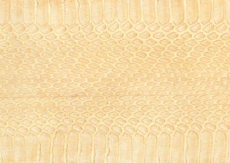 Full Hd Animal Skin Leathers and Furs Images