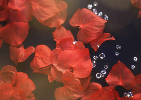 Sparkling and Romantic Background