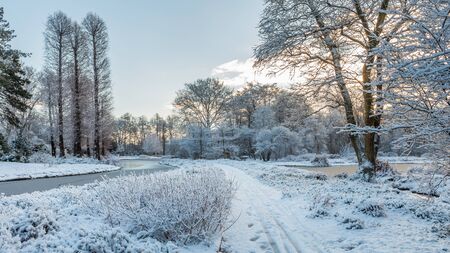 White landscape in a garden with path between trees and frozen pond covered by freshly fallen snowの写真素材