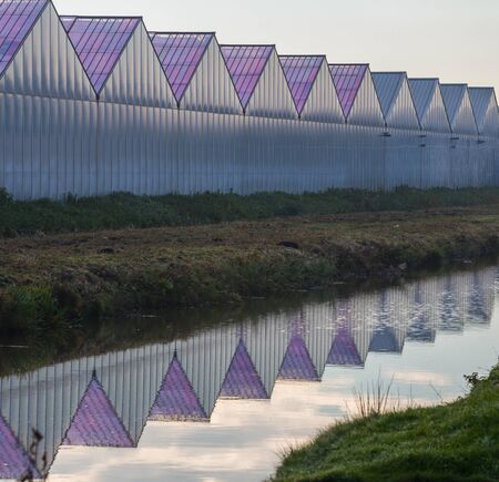 Greenhouses for horticulture in an ordered pattern with grass, sky, ditch and reflection in water. Landscape from Aalsmeer, Noord-Holland, the Netherlandsの写真素材