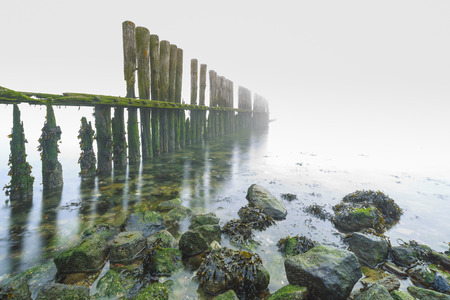 Old wooden groyne on a coastline with heavy dense fog with low visibility during a cold Winter morning. The horizon is not visible.の写真素材