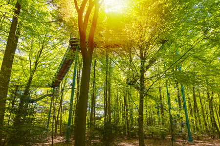 Manmade structure and bridge to experience a treetops adventure challenge or activity in a forestの写真素材