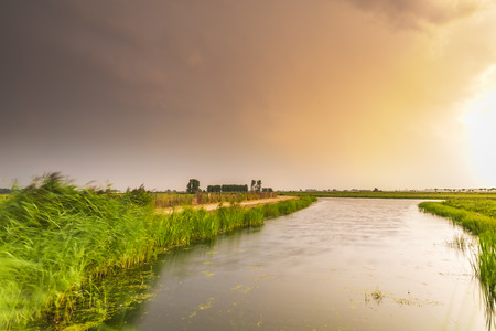Dramatic sky above farmland. Rainstorm cloudscape with sunlight passing.の写真素材