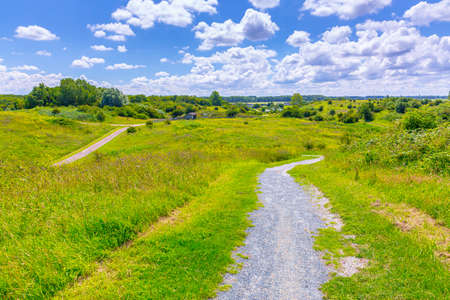 Beautiful yellow colored fields under a blue sky in Summer season. Buytenpark Zoetermeer, the...