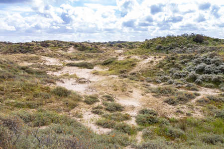 Landscape with dunes and wild nature under a clouded sky in national park Meijendel at the Dutch coastの写真素材