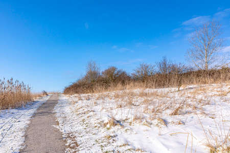 Snowy landscape with hills and meadows under a blue sky in Winter season. Buytenpark Zoetermeer, the Netherlandsの写真素材