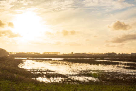 Planting young trees to grow a new forest in a new nature landscape called de Nieuwe Driemanspolder,...