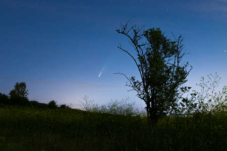 Meteor, shooting star or falling star seen in a night sky landscape with clouds. Comet NEOWISE,...