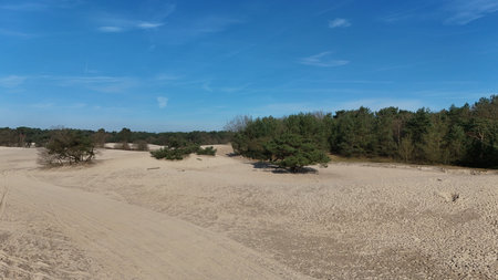 Sandy landscape with sparse vegetation under a clear blue sky, showcasing nature's textures and the contrast between the arid ground and greenery.の写真素材