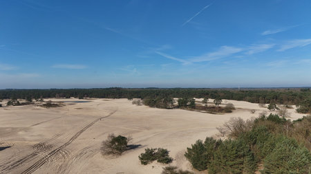 Aerial view of a vast sandy landscape with sparse vegetation under a clear blue sky, featuring trails and greenery at the edges.の写真素材