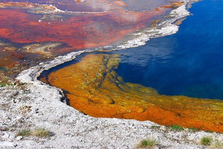 Colorful bacteria thrive in a pool of rainbows heated by hot geysers along the river edges of Yellowstone National Park.の写真素材