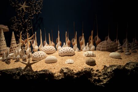 Underwater aquarium environtment