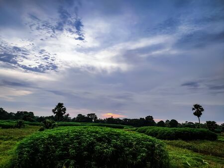 The sun has joined the horizon at the end of the green field.の写真素材
