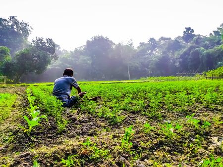 A farmer wakes up in the morning and looks after the garden.の写真素材