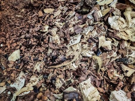 Small pieces of cutting tree close-up shot.の写真素材
