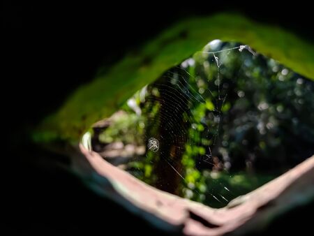 A spider's net is visible through the window in the morning.の写真素材