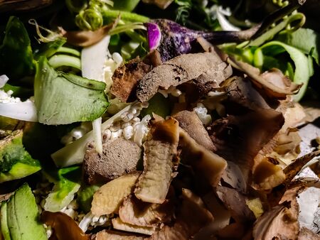 This is the close shot of the vegetable peel in a indian kitchen.の写真素材