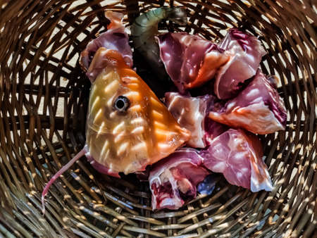 The fish has been cut and kept for frying.の写真素材