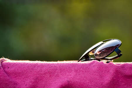 A sun-glass close up natural shot in the daytime in the forest in india.の写真素材