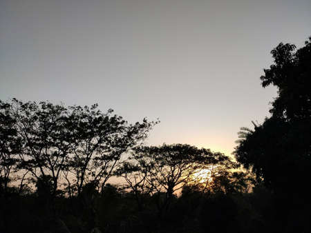 A beautiful rural north indian sunset landscape in the winter season.の写真素材