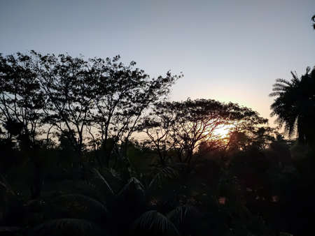 A beautiful rural north indian sunset landscape in the winter season.の写真素材