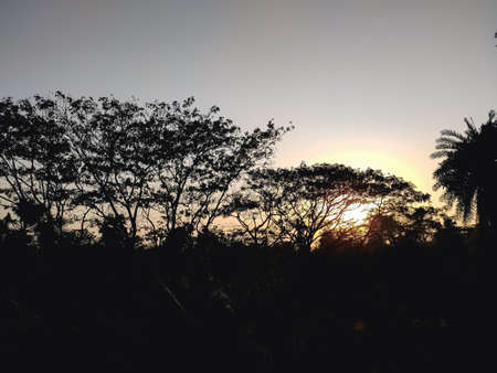 A beautiful rural north indian sunset landscape in the winter season.の写真素材