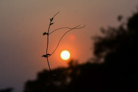 Awesome sun set in the end of the day in north east india in the month of October.の写真素材