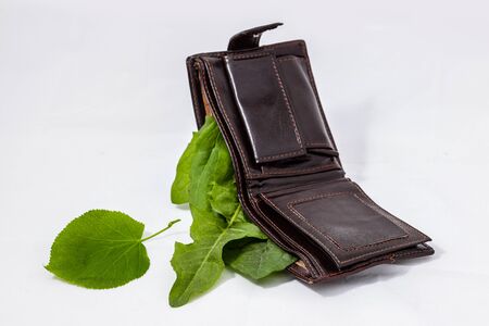 Purse with green leaves in a white backgroundの写真素材