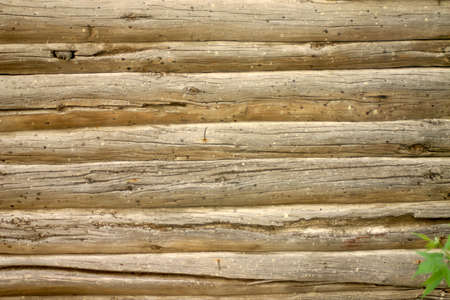 Log wall portion, closely fitted to each of the other logの写真素材