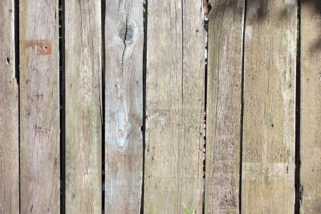old rough scratched faded wooden board with boughsの写真素材