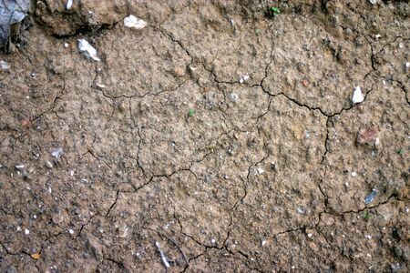 gray, dried, cracked surface of the earthの写真素材