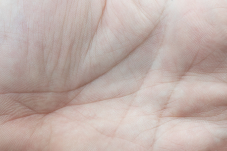 lines of the human palmの写真素材