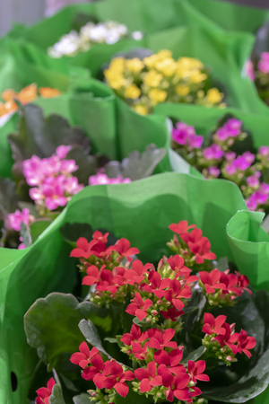 many bouquets for sale.の写真素材