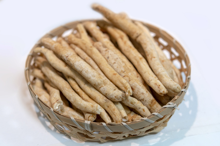 Chinese condiment root horseradish.の写真素材