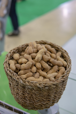 Peanuts in shell and peeled.の写真素材
