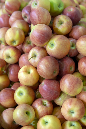 Red, ripe apples.の写真素材
