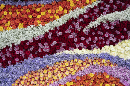 Pattern of red, orange, and yellow roses.の写真素材