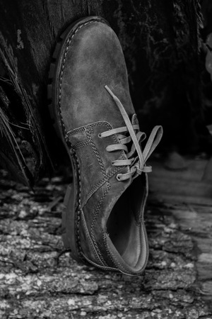 New stylish brown men's shoes.の写真素材